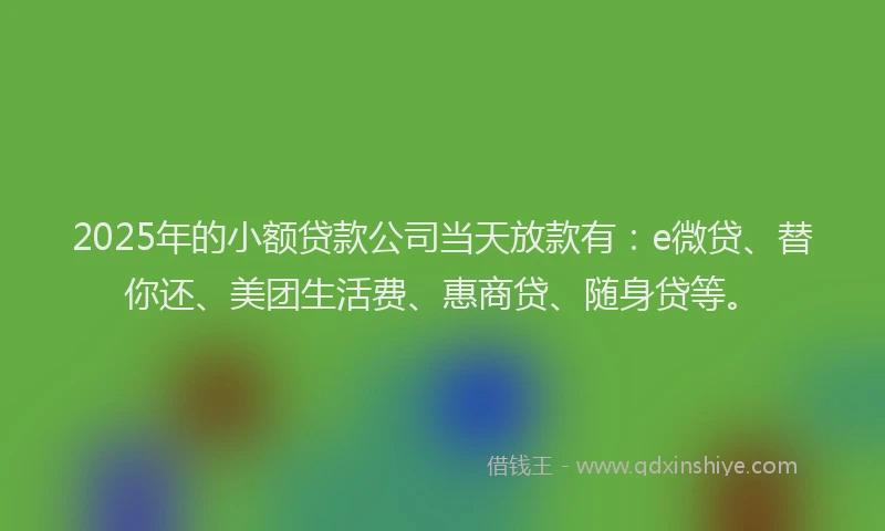 2025年的小额贷款公司当天放款有：e微贷、替你还、美团生活费、惠商贷、随身贷等。
