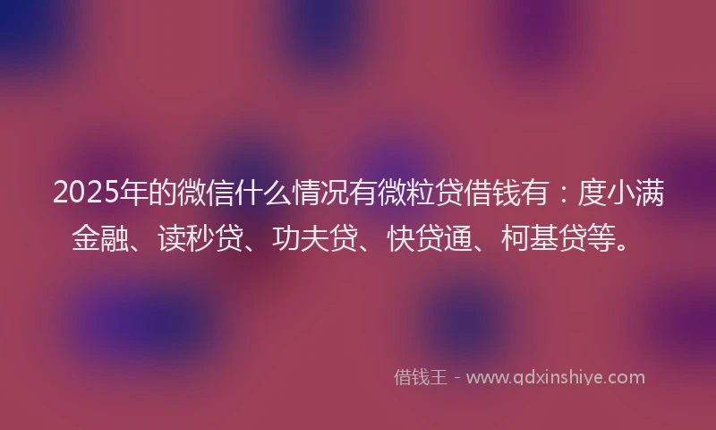 2025年的微信什么情况有微粒贷借钱有：度小满金融、读秒贷、功夫贷、快贷通、柯基贷等。