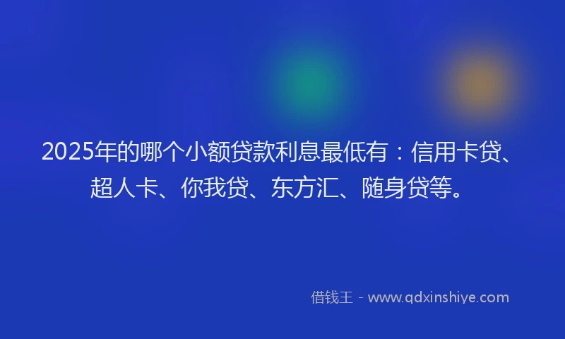 2025年的哪个小额贷款利息最低有：信用卡贷、超人卡、你我贷、东方汇、随身贷等。