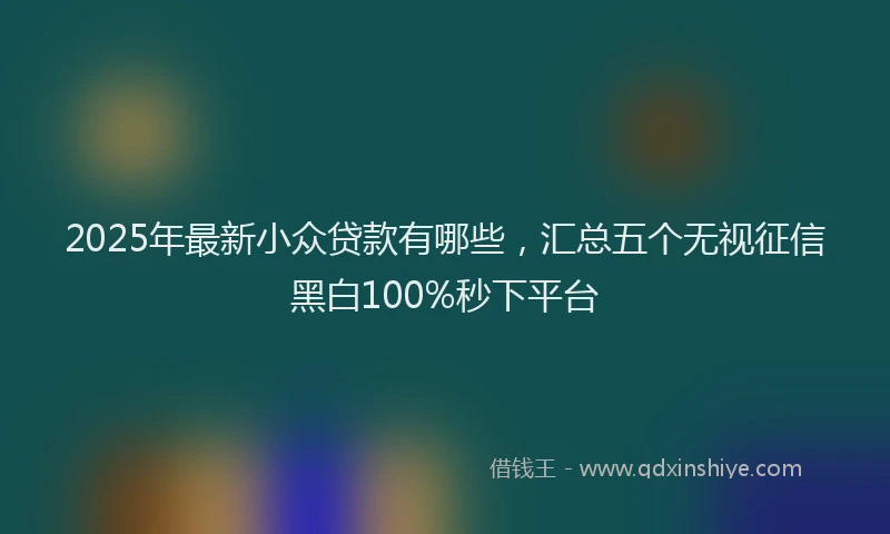 2025年最新小众贷款有哪些，汇总五个无视征信黑白100%秒下平台