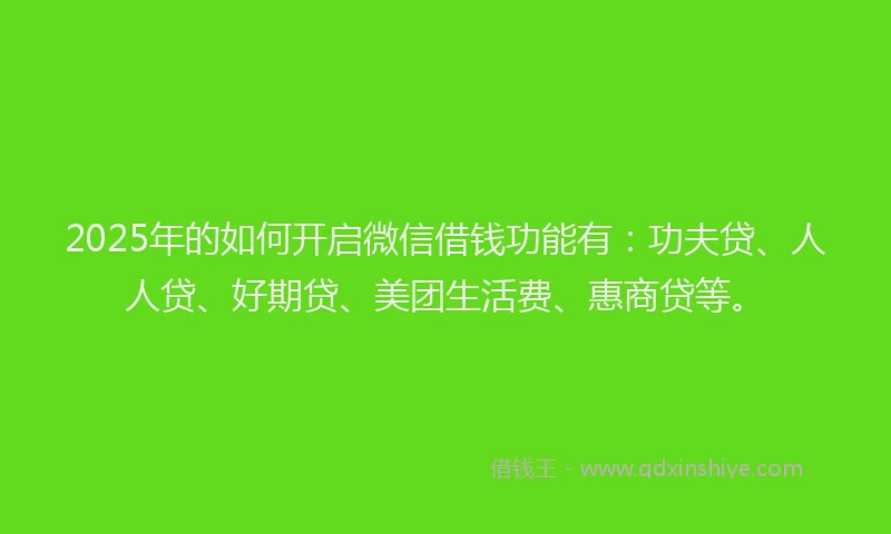 2025年的如何开启微信借钱功能有：功夫贷、人人贷、好期贷、美团生活费、惠商贷等。