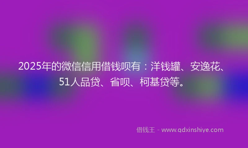 2025年的微信信用借钱呗有：洋钱罐、安逸花、51人品贷、省呗、柯基贷等。