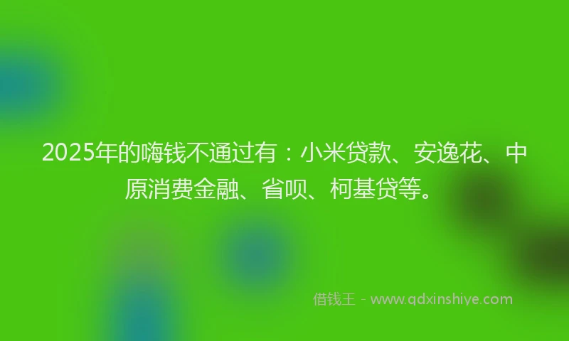 2025年的嗨钱不通过有：小米贷款、安逸花、中原消费金融、省呗、柯基贷等。