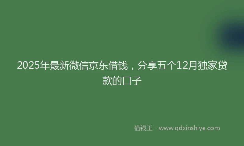 2025年最新微信京东借钱，分享五个12月独家贷款的口子