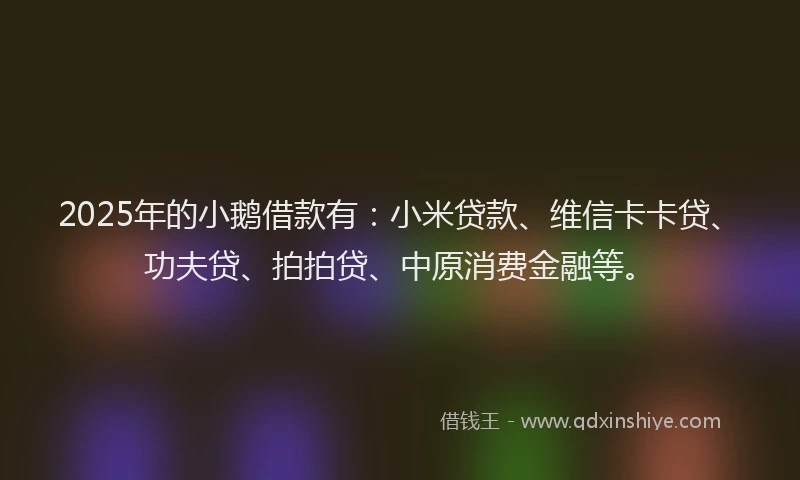 2025年的小鹅借款有：小米贷款、维信卡卡贷、功夫贷、拍拍贷、中原消费金融等。