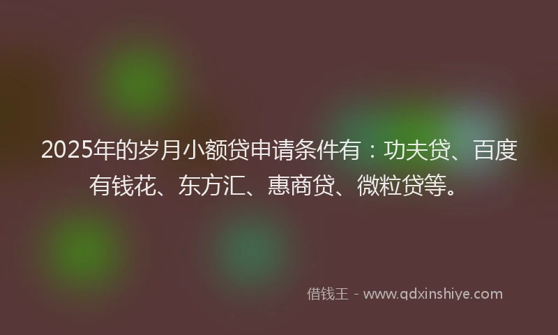 2025年的岁月小额贷申请条件有：功夫贷、百度有钱花、东方汇、惠商贷、微粒贷等。