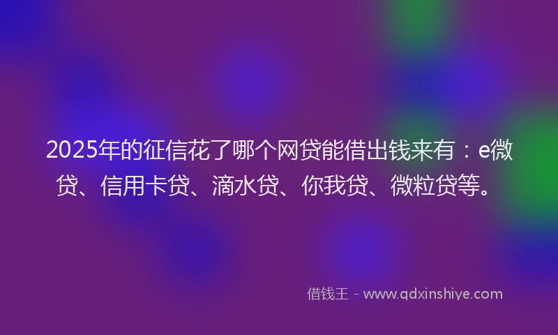 2025年的征信花了哪个网贷能借出钱来有：e微贷、信用卡贷、滴水贷、你我贷、微粒贷等。