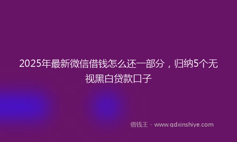 2025年最新微信借钱怎么还一部分，归纳5个无视黑白贷款口子