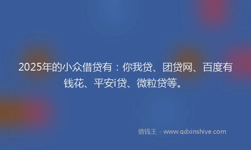 2025年的小众借贷有：你我贷、团贷网、百度有钱花、平安i贷、微粒贷等。