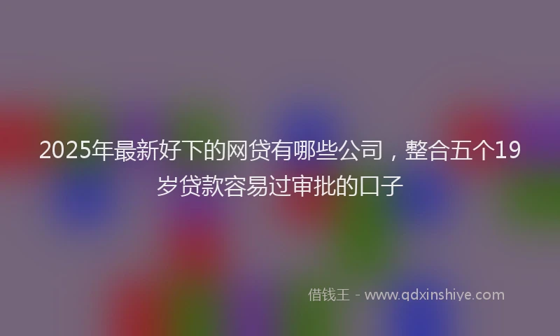 2025年最新好下的网贷有哪些公司，整合五个19岁贷款容易过审批的口子