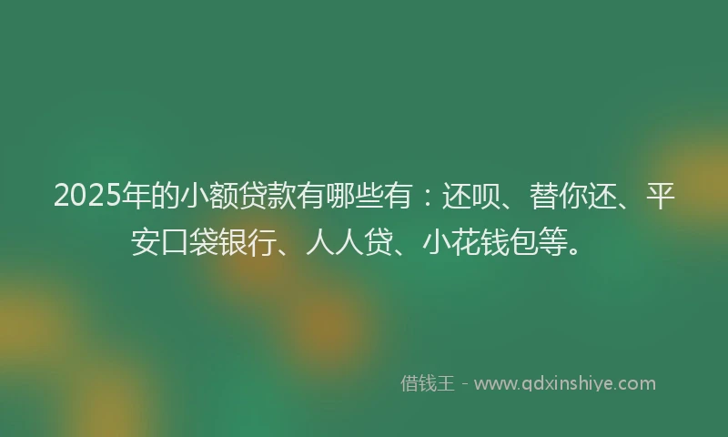 2025年的小额贷款有哪些有：还呗、替你还、平安口袋银行、人人贷、小花钱包等。