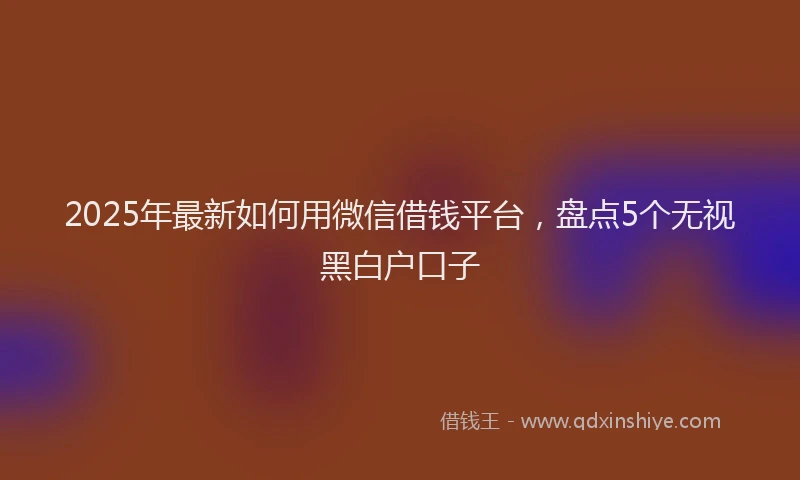 2025年最新如何用微信借钱平台，盘点5个无视黑白户口子