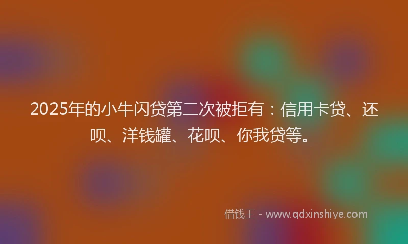 2025年的小牛闪贷第二次被拒有：信用卡贷、还呗、洋钱罐、花呗、你我贷等。