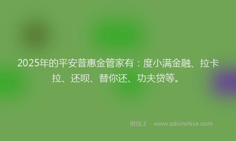 2025年的平安普惠金管家有：度小满金融、拉卡拉、还呗、替你还、功夫贷等。