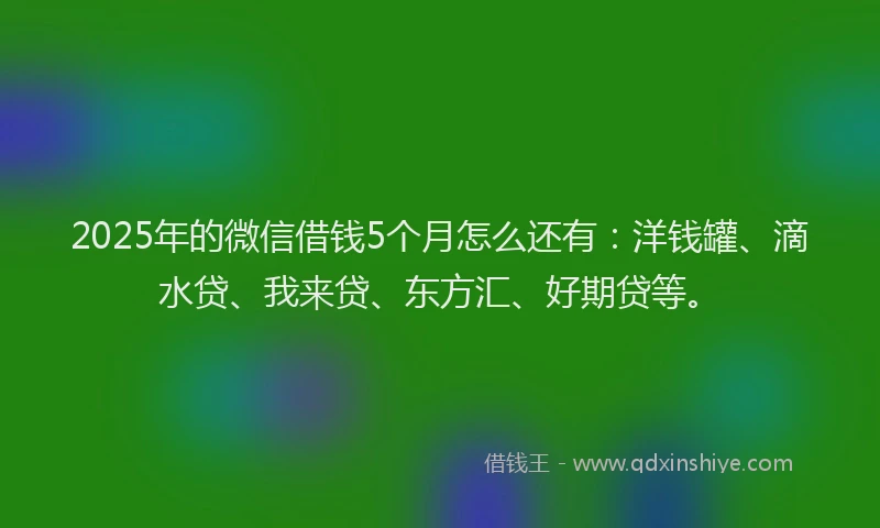 2025年的微信借钱5个月怎么还有：洋钱罐、滴水贷、我来贷、东方汇、好期贷等。