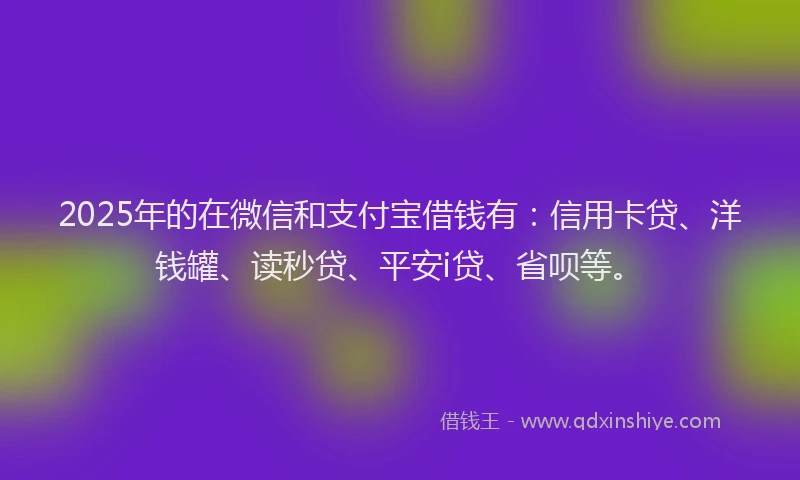 2025年的在微信和支付宝借钱有：信用卡贷、洋钱罐、读秒贷、平安i贷、省呗等。