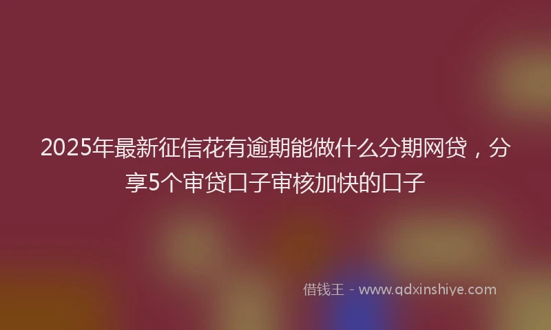 2025年最新征信花有逾期能做什么分期网贷，分享5个审贷口子审核加快的口子