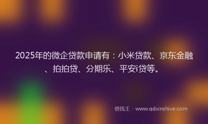 2025年的微企贷款申请有：小米贷款、京东金融、拍拍贷、分期乐、平安i贷等。