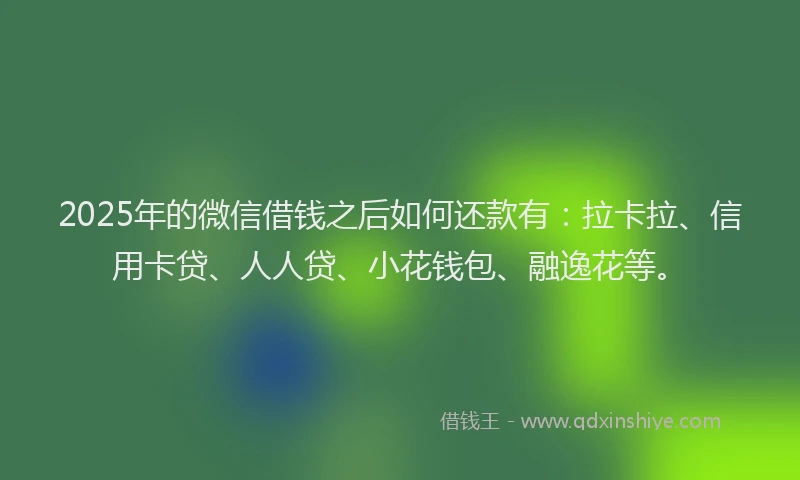 2025年的微信借钱之后如何还款有：拉卡拉、信用卡贷、人人贷、小花钱包、融逸花等。