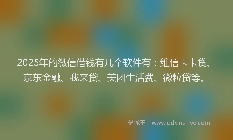 2025年的微信借钱有几个软件有：维信卡卡贷、京东金融、我来贷、美团生活费、微粒贷等。