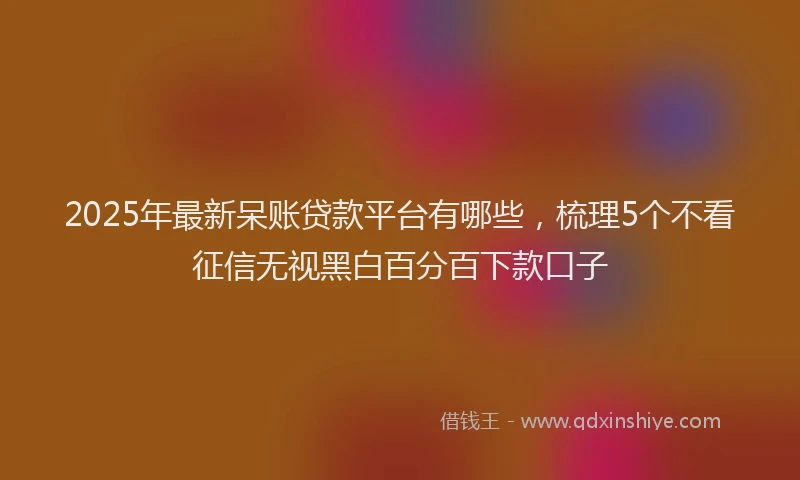 2025年最新呆账贷款平台有哪些，梳理5个不看征信无视黑白百分百下款口子