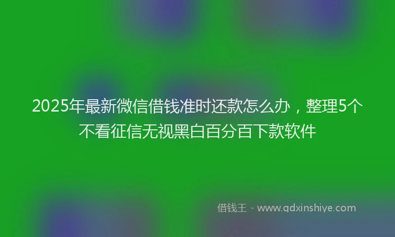 2025年最新微信借钱准时还款怎么办，整理5个不看征信无视黑白百分百下款软件