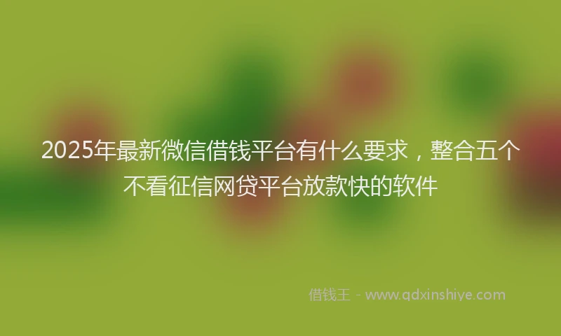2025年最新微信借钱平台有什么要求，整合五个不看征信网贷平台放款快的软件