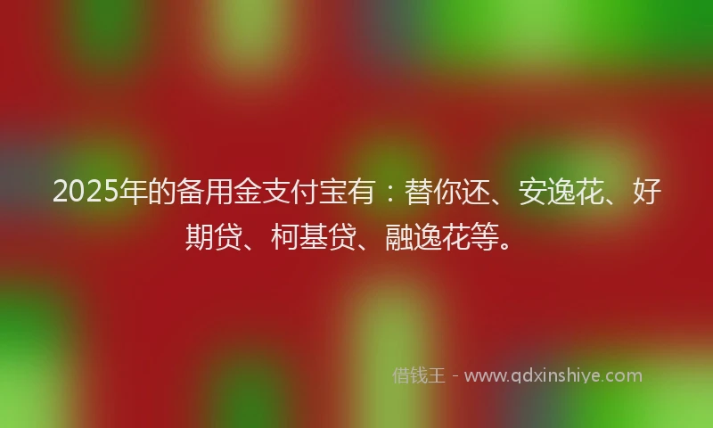 2025年的备用金支付宝有：替你还、安逸花、好期贷、柯基贷、融逸花等。