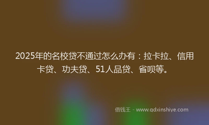 2025年的名校贷不通过怎么办有：拉卡拉、信用卡贷、功夫贷、51人品贷、省呗等。