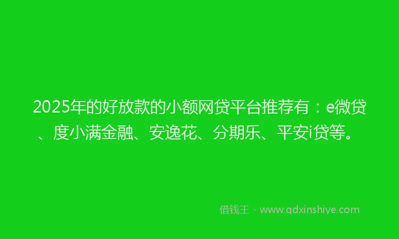 2025年的好放款的小额网贷平台推荐有：e微贷、度小满金融、安逸花、分期乐、平安i贷等。