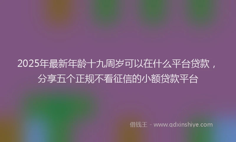 2025年最新年龄十九周岁可以在什么平台贷款，分享五个正规不看征信的小额贷款平台
