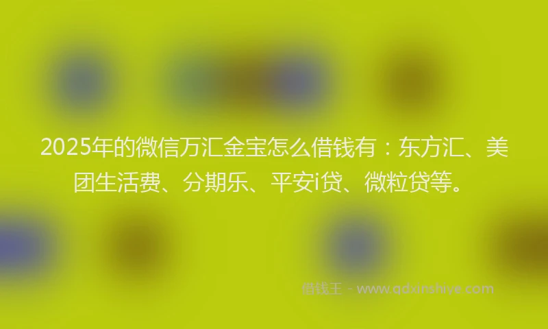 2025年的微信万汇金宝怎么借钱有：东方汇、美团生活费、分期乐、平安i贷、微粒贷等。