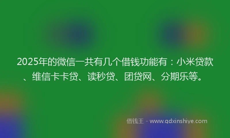 2025年的微信一共有几个借钱功能有：小米贷款、维信卡卡贷、读秒贷、团贷网、分期乐等。