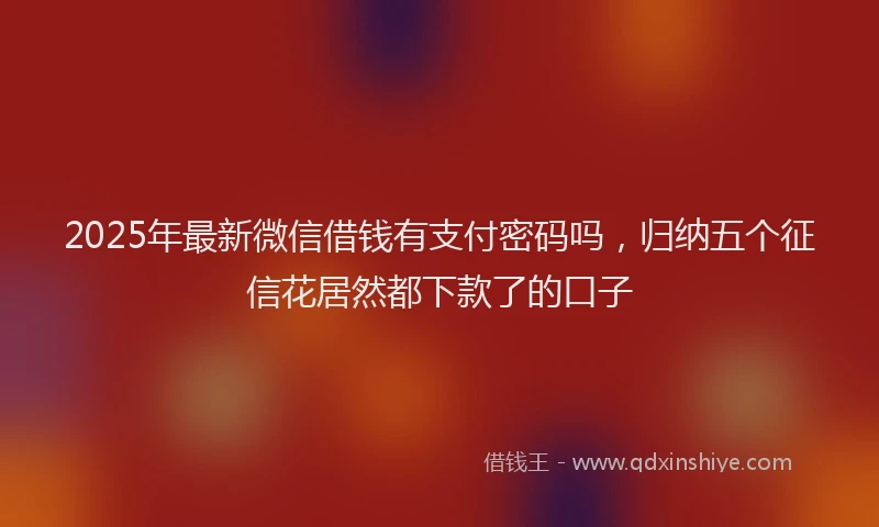 2025年最新微信借钱有支付密码吗，归纳五个征信花居然都下款了的口子