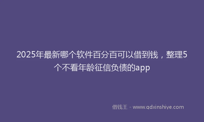 2025年最新哪个软件百分百可以借到钱，整理5个不看年龄征信负债的app