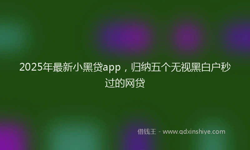 2025年最新小黑贷app，归纳五个无视黑白户秒过的网贷