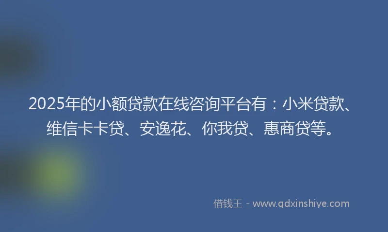 2025年的小额贷款在线咨询平台有：小米贷款、维信卡卡贷、安逸花、你我贷、惠商贷等。