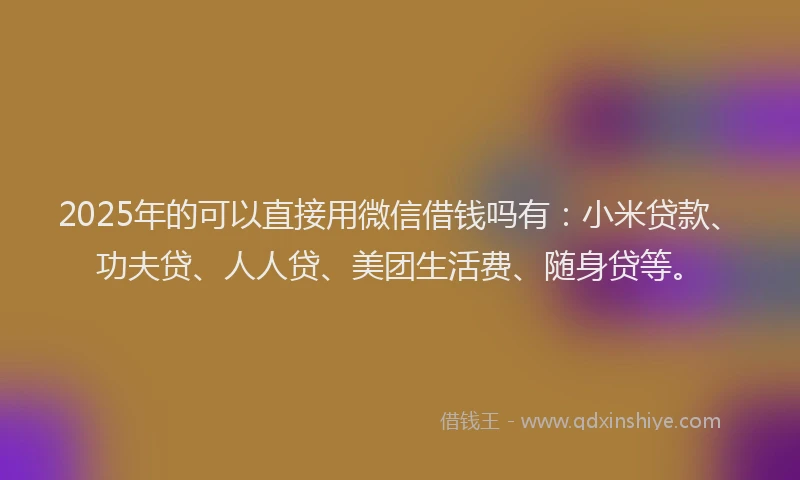 2025年的可以直接用微信借钱吗有：小米贷款、功夫贷、人人贷、美团生活费、随身贷等。