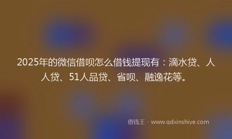 2025年的微信借呗怎么借钱提现有：滴水贷、人人贷、51人品贷、省呗、融逸花等。