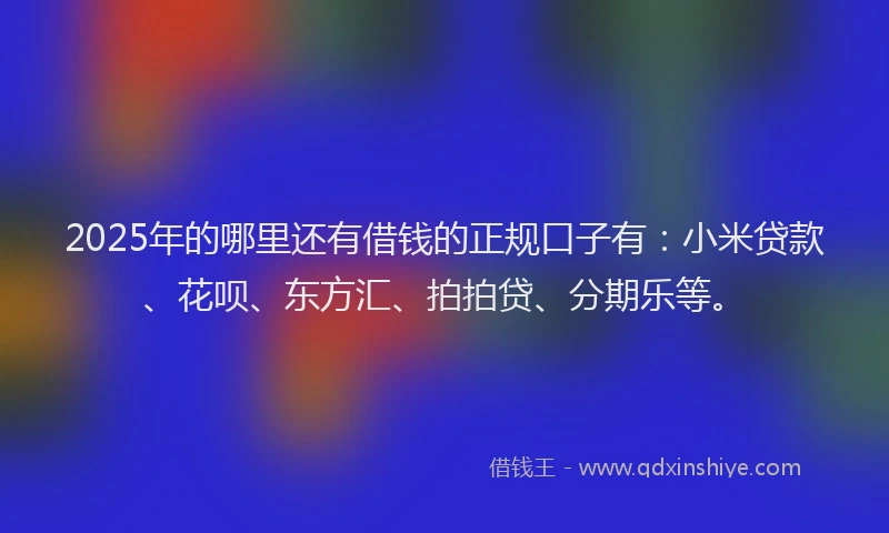 2025年的哪里还有借钱的正规口子有：小米贷款、花呗、东方汇、拍拍贷、分期乐等。