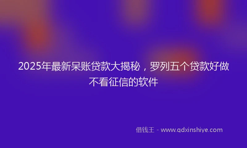 2025年最新呆账贷款大揭秘，罗列五个贷款好做不看征信的软件