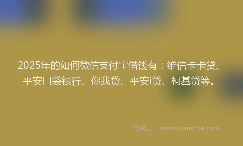 2025年的如何微信支付宝借钱有：维信卡卡贷、平安口袋银行、你我贷、平安i贷、柯基贷等。