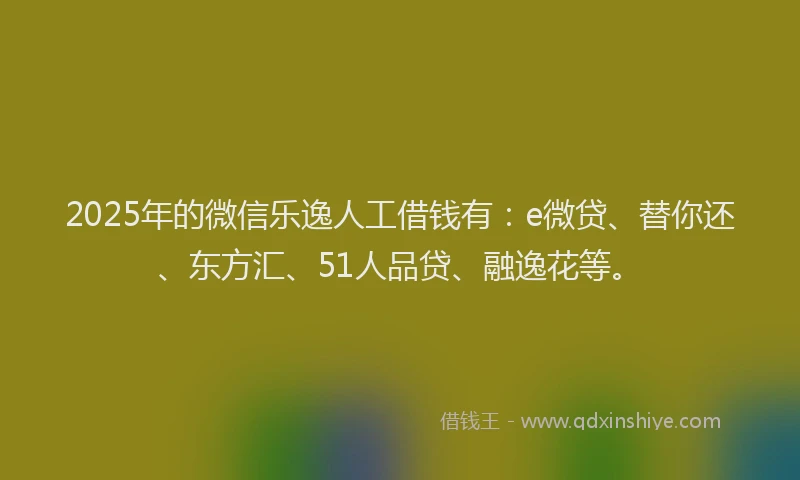 2025年的微信乐逸人工借钱有：e微贷、替你还、东方汇、51人品贷、融逸花等。