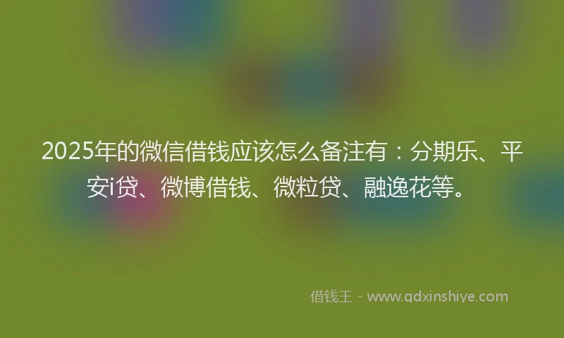 2025年的微信借钱应该怎么备注有：分期乐、平安i贷、微博借钱、微粒贷、融逸花等。