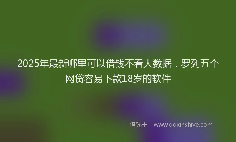 2025年最新哪里可以借钱不看大数据，罗列五个网贷容易下款18岁的软件