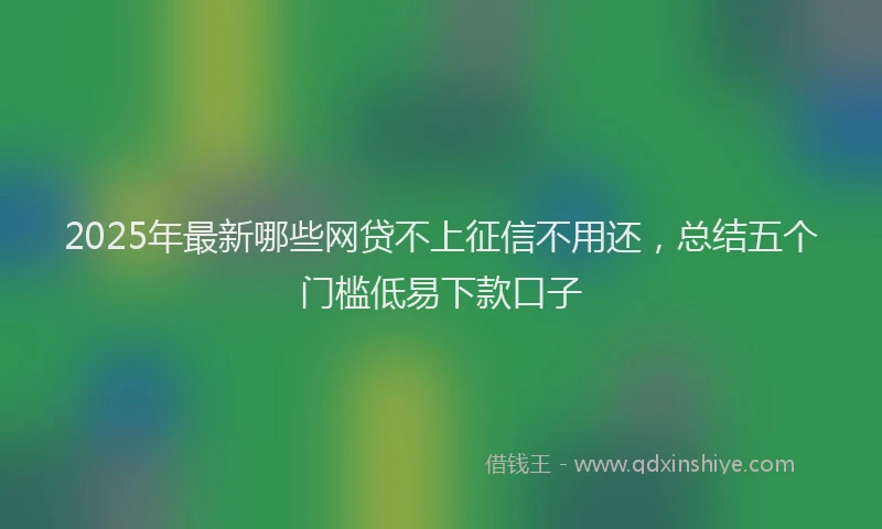 2025年最新哪些网贷不上征信不用还，总结五个门槛低易下款口子