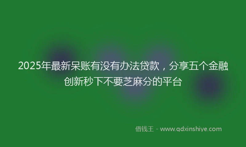 2025年最新呆账有没有办法贷款，分享五个金融创新秒下不要芝麻分的平台