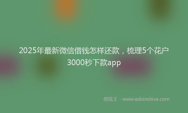 2025年最新微信借钱怎样还款，梳理5个花户3000秒下款app