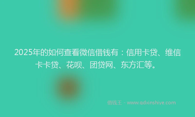 2025年的如何查看微信借钱有：信用卡贷、维信卡卡贷、花呗、团贷网、东方汇等。