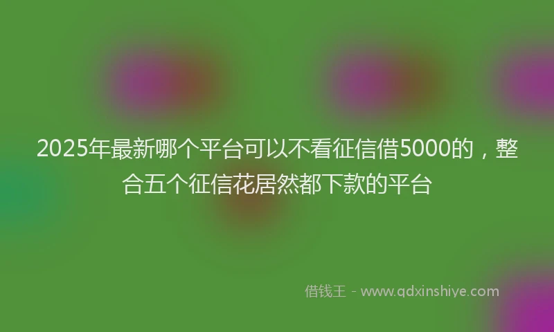 2025年最新哪个平台可以不看征信借5000的，整合五个征信花居然都下款的平台